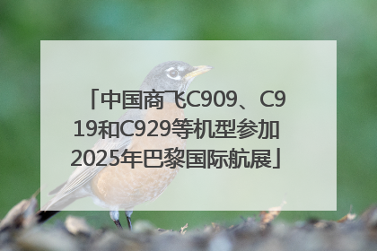 中国商飞C909、C919和C929等机型参加2025年巴黎国际航展