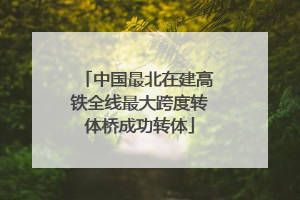 中国最北在建高铁全线最大跨度转体桥成功转体