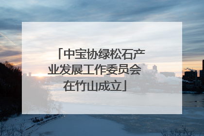 中宝协绿松石产业发展工作委员会在竹山成立