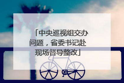 中央巡视组交办问题，省委书记赴现场督导整改