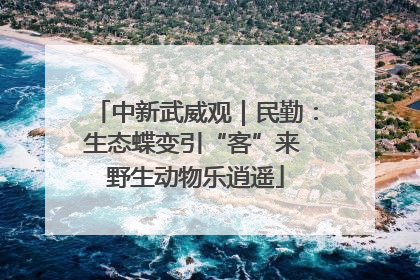 中新武威观｜民勤：生态蝶变引“客”来 野生动物乐逍遥
