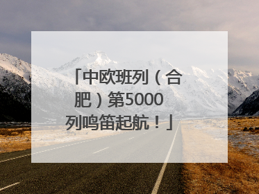 中欧班列（合肥）第5000列鸣笛起航！