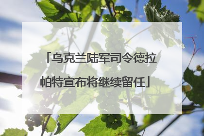 乌克兰陆军司令德拉帕特宣布将继续留任