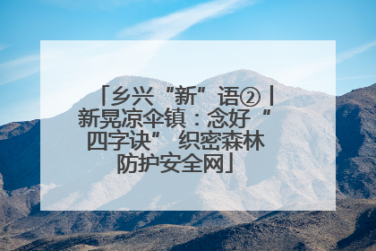 乡兴“新”语②丨新晃凉伞镇：念好“四字诀” 织密森林防护安全网