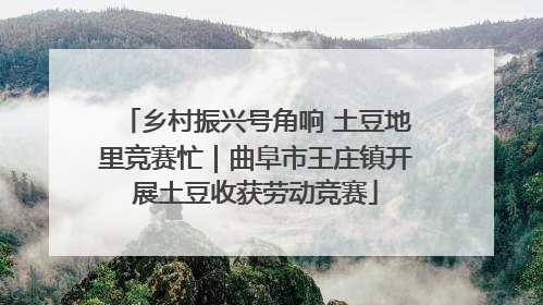 乡村振兴号角响 土豆地里竞赛忙｜曲阜市王庄镇开展土豆收获劳动竞赛