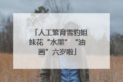 人工繁育雪豹姐妹花“水墨”“油画”六岁啦