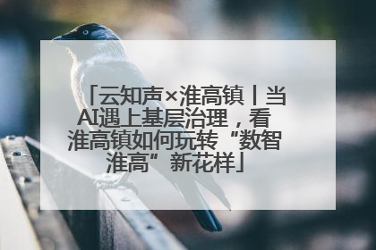 云知声×淮高镇丨当AI遇上基层治理，看淮高镇如何玩转“数智淮高”新花样