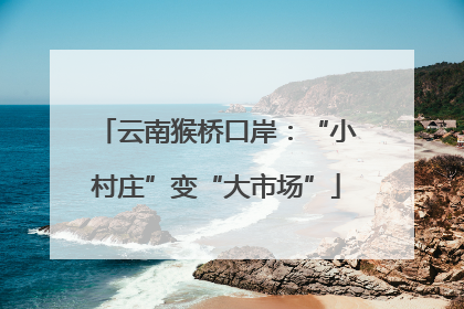 云南猴桥口岸：“小村庄”变“大市场”