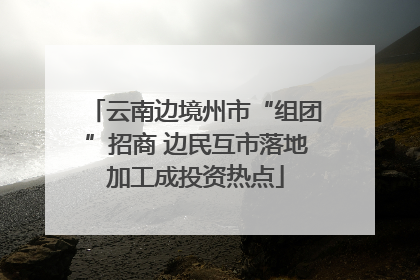 云南边境州市“组团”招商 边民互市落地加工成投资热点