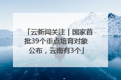 云新闻关注｜国家首批39个重点培育对象公布，云南有3个