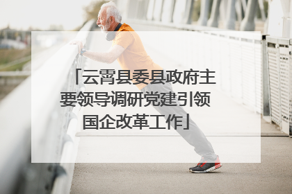 云霄县委县政府主要领导调研党建引领国企改革工作