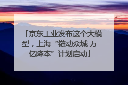 京东工业发布这个大模型,上海“链动众城 万亿降本”计划启动