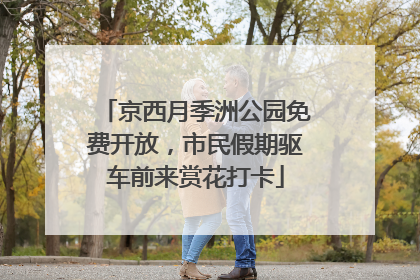 京西月季洲公园免费开放，市民假期驱车前来赏花打卡
