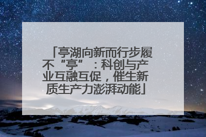 亭湖向新而行步履不“亭”：科创与产业互融互促，催生新质生产力澎湃动能