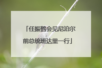 任振鹤会见尼泊尔前总统班达里一行