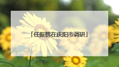 任振鹤在庆阳市调研