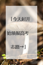 今天起开始填报高考志愿→