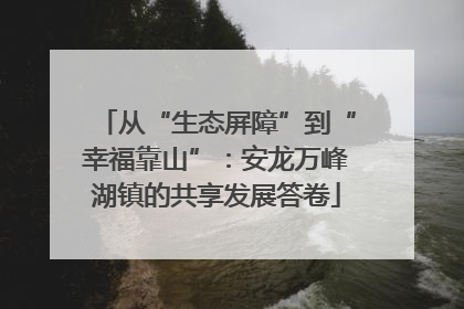 从“生态屏障”到“幸福靠山”：安龙万峰湖镇的共享发展答卷