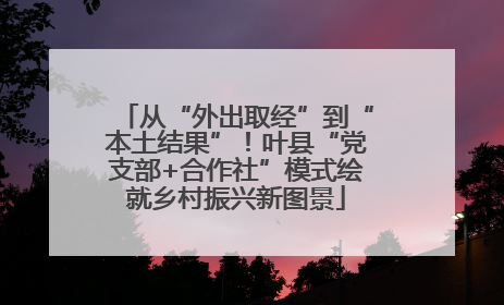 从“外出取经”到“本土结果”！叶县“党支部+合作社”模式绘就乡村振兴新图景