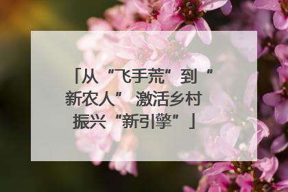 从“飞手荒”到“新农人” 激活乡村振兴“新引擎”