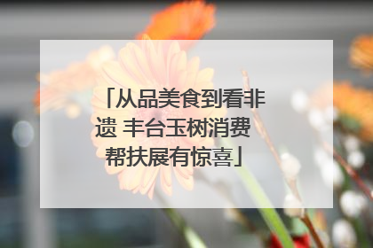 从品美食到看非遗 丰台玉树消费帮扶展有惊喜