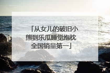 从女儿的破旧小熊到乐瓜睡觉抱枕全国销量第一