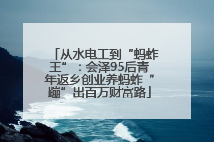 从水电工到“蚂蚱王”：会泽95后青年返乡创业养蚂蚱“蹦”出百万财富路