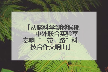 从脑科学到猕猴桃——中外联合实验室奏响“一带一路”科技合作交响曲