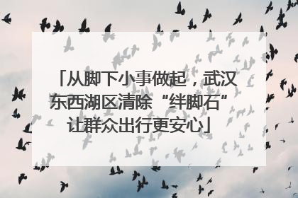 从脚下小事做起，武汉东西湖区清除“绊脚石”让群众出行更安心