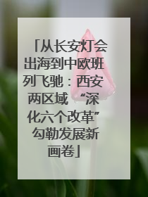 从长安灯会出海到中欧班列飞驰：西安两区域 “深化六个改革” 勾勒发展新画卷