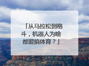 从马拉松到格斗，机器人为啥都爱搞体育？