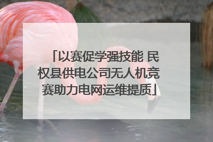 以赛促学强技能 民权县供电公司无人机竞赛助力电网运维提质