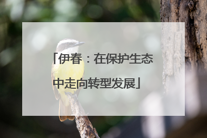 伊春：在保护生态中走向转型发展