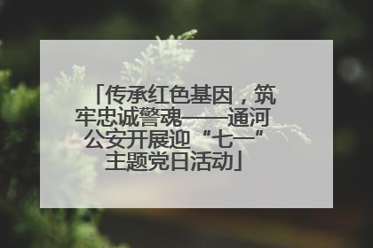 传承红色基因，筑牢忠诚警魂——通河公安开展迎“七一”主题党日活动