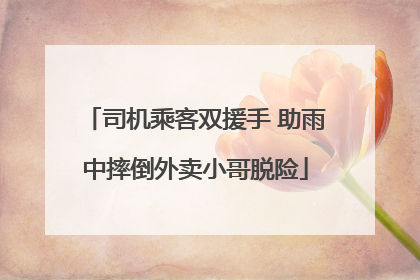 司机乘客双援手 助雨中摔倒外卖小哥脱险