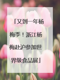 又到一年杨梅季！浙江杨梅赴沪参加世界级食品展