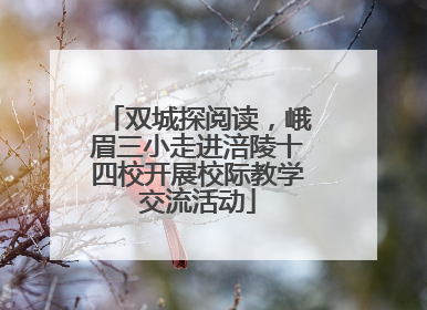 双城探阅读，峨眉三小走进涪陵十四校开展校际教学交流活动