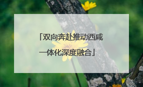 双向奔赴推动西咸一体化深度融合