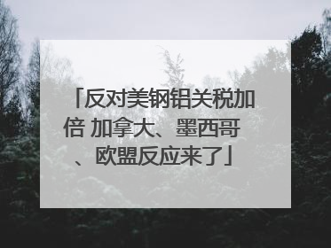 反对美钢铝关税加倍 加拿大、墨西哥、欧盟反应来了