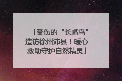 受伤的“长嘴鸟”造访徐州沛县！暖心救助守护自然精灵