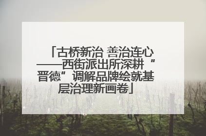 古桥新治 善治连心——西街派出所深耕“晋德”调解品牌绘就基层治理新画卷