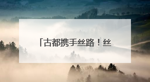 古都携手丝路！丝博会绽放新活力