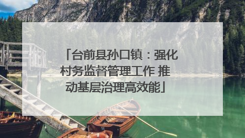 台前县孙口镇：强化村务监督管理工作 推动基层治理高效能