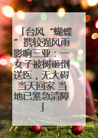 台风“蝴蝶”携较强风雨影响三亚：一女子被树砸倒送医，无大碍当天回家 当地已紧急清障