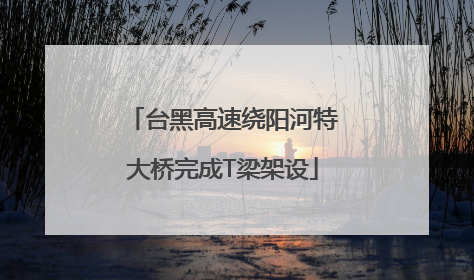 台黑高速绕阳河特大桥完成T梁架设