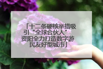 十二条硬核举措吸引“全球合伙人” 资阳全力打造数字游民友好型城市