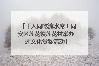 千人同吃流水席！同安区莲花镇莲花村举办莲文化赏鉴活动