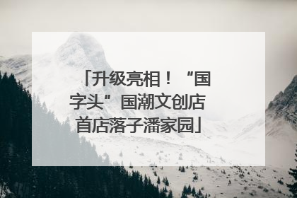 升级亮相！“国字头”国潮文创店首店落子潘家园