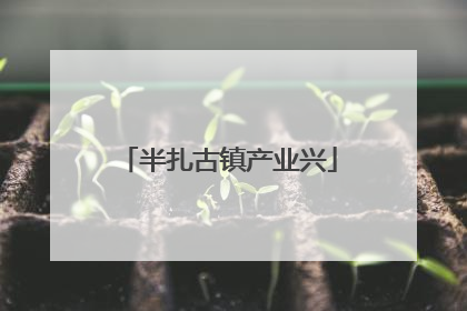 半扎古镇产业兴