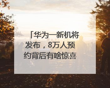 华为一新机将发布，8万人预约背后有啥惊喜？｜热财经